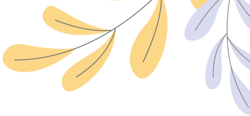 The best Tshirt collection 2026